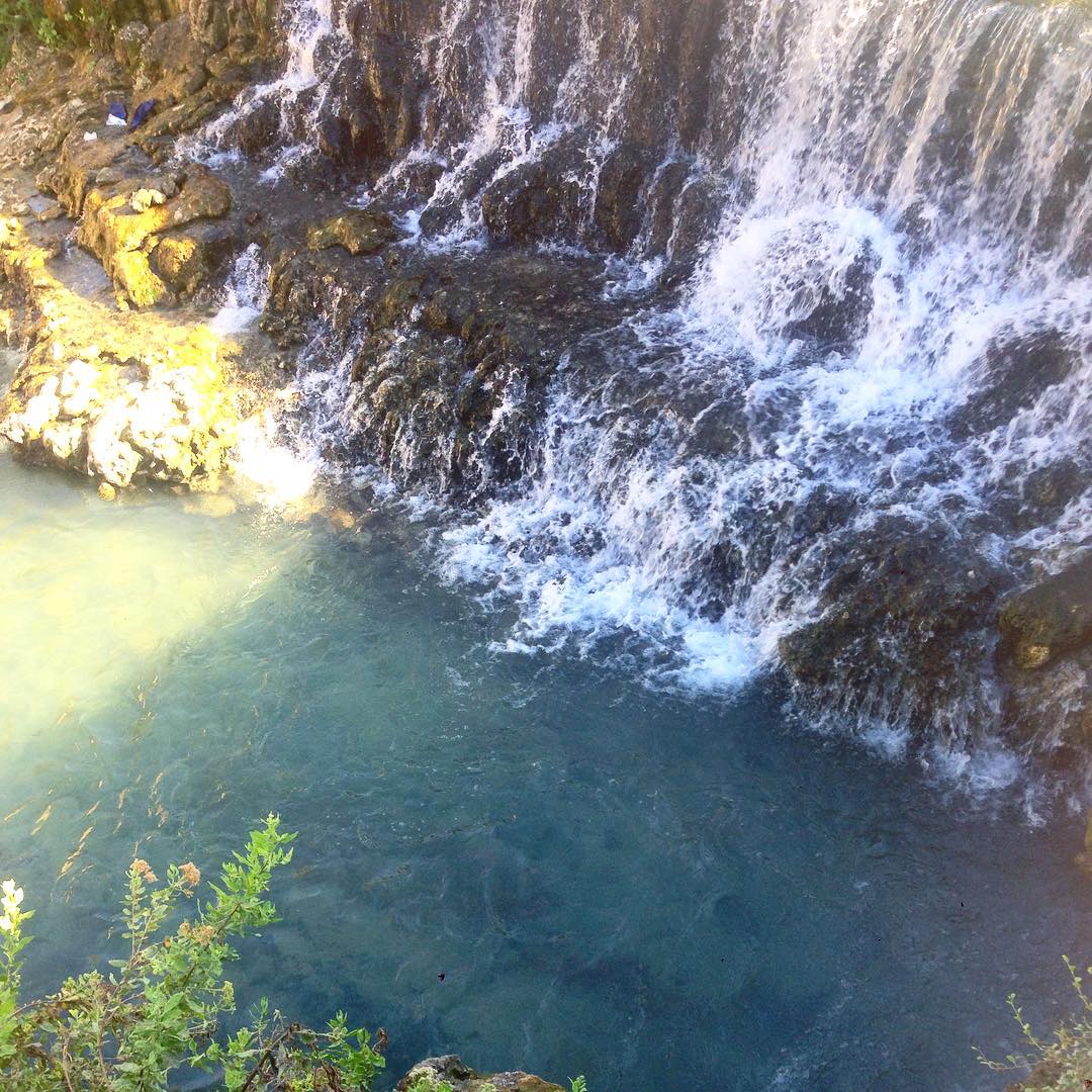 yam_adler instagram image archive image