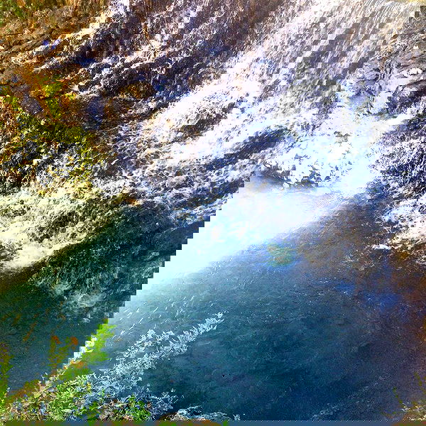 yam_adler image ~ Altpins