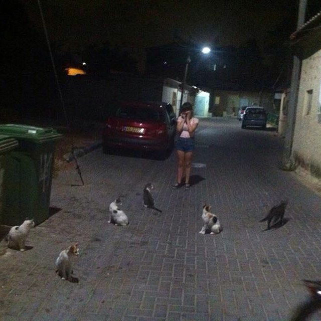 yam_adler instagram image archive image