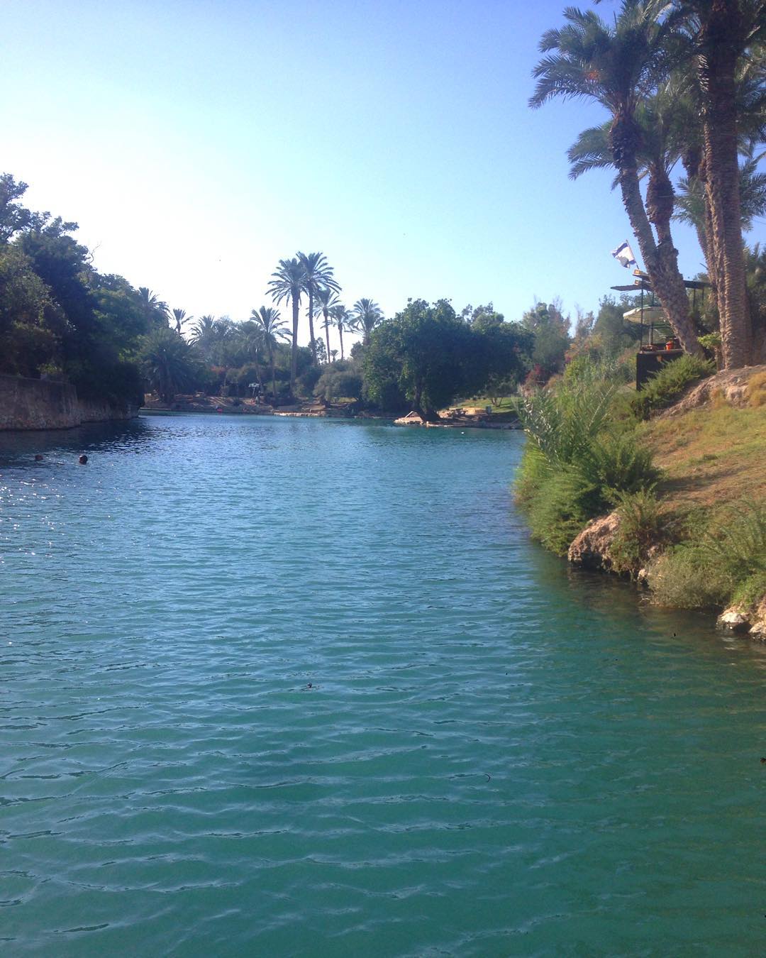 yam_adler instagram image archive image