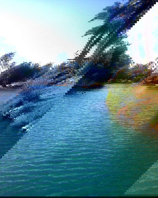 yam_adler image ~ Altpins