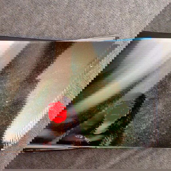 yam_adler instagram image archive image