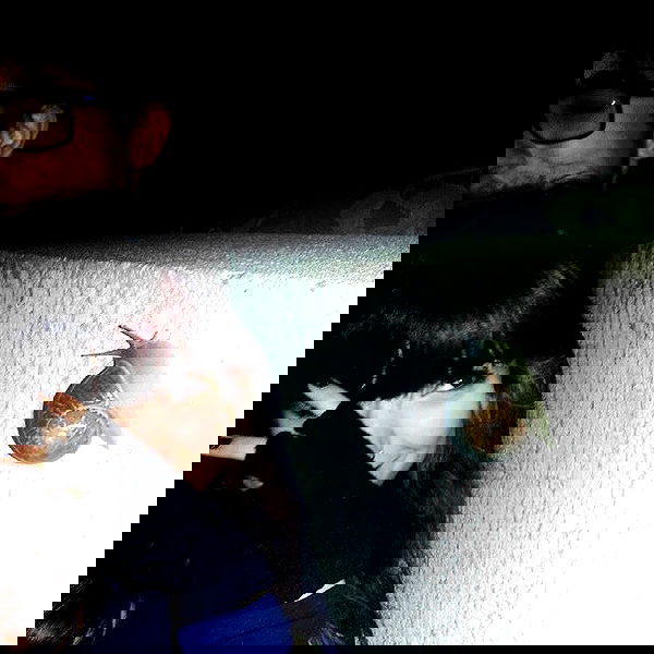 yam_adler image ~ Altpins