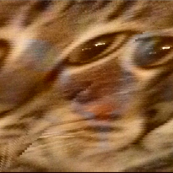 yam_adler instagram image archive image