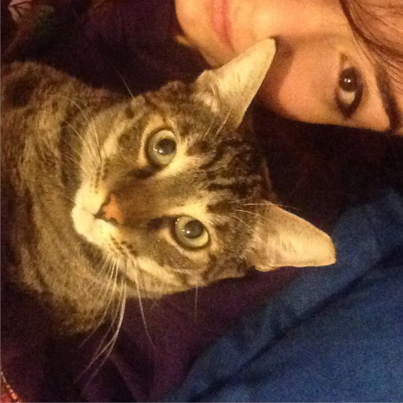 yam_adler instagram image archive image