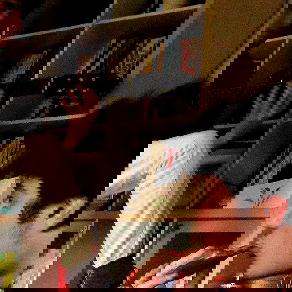 yam_adler image ~ Altpins