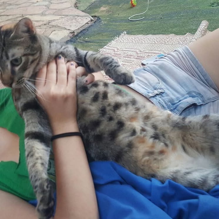 yam_adler instagram image archive image