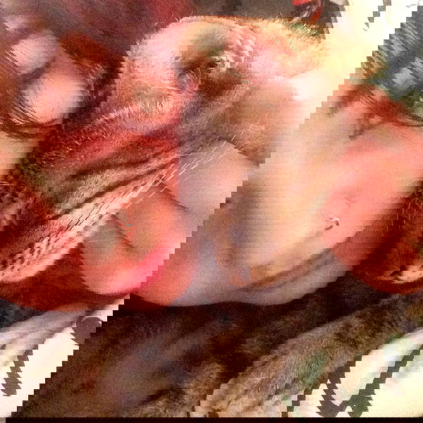 yam_adler image ~ Altpins