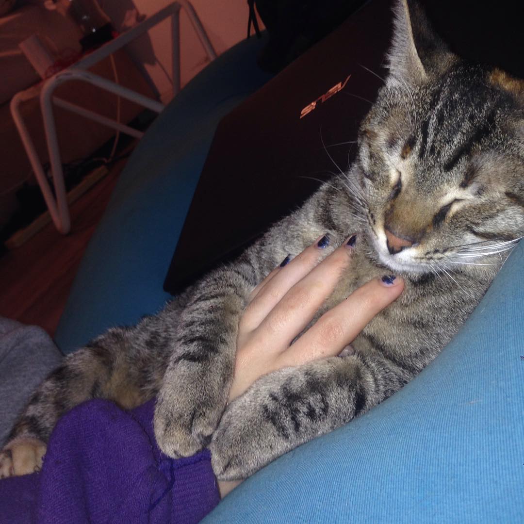 yam_adler instagram image archive image