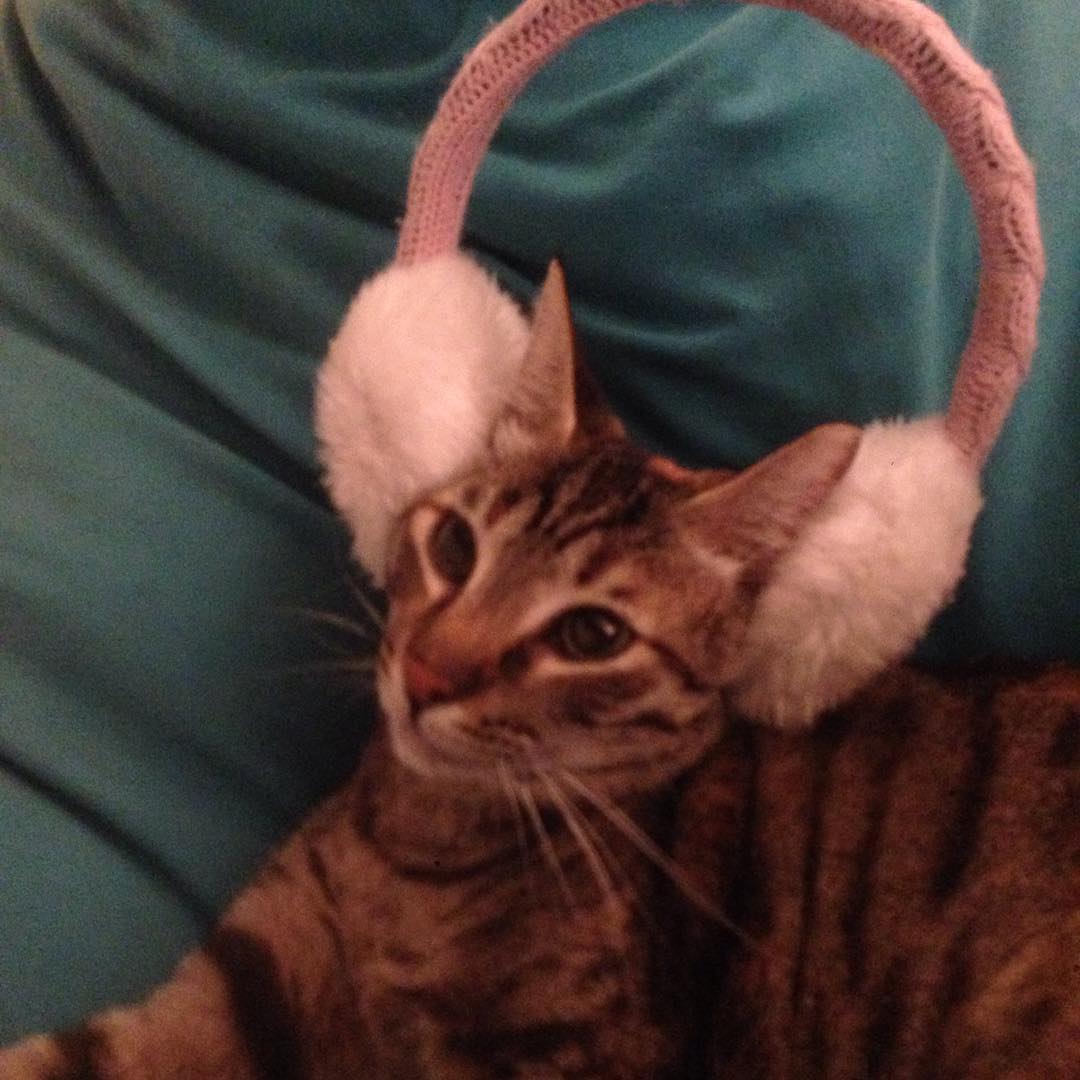 yam_adler instagram image archive image