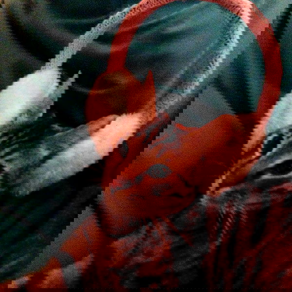 yam_adler image ~ Altpins