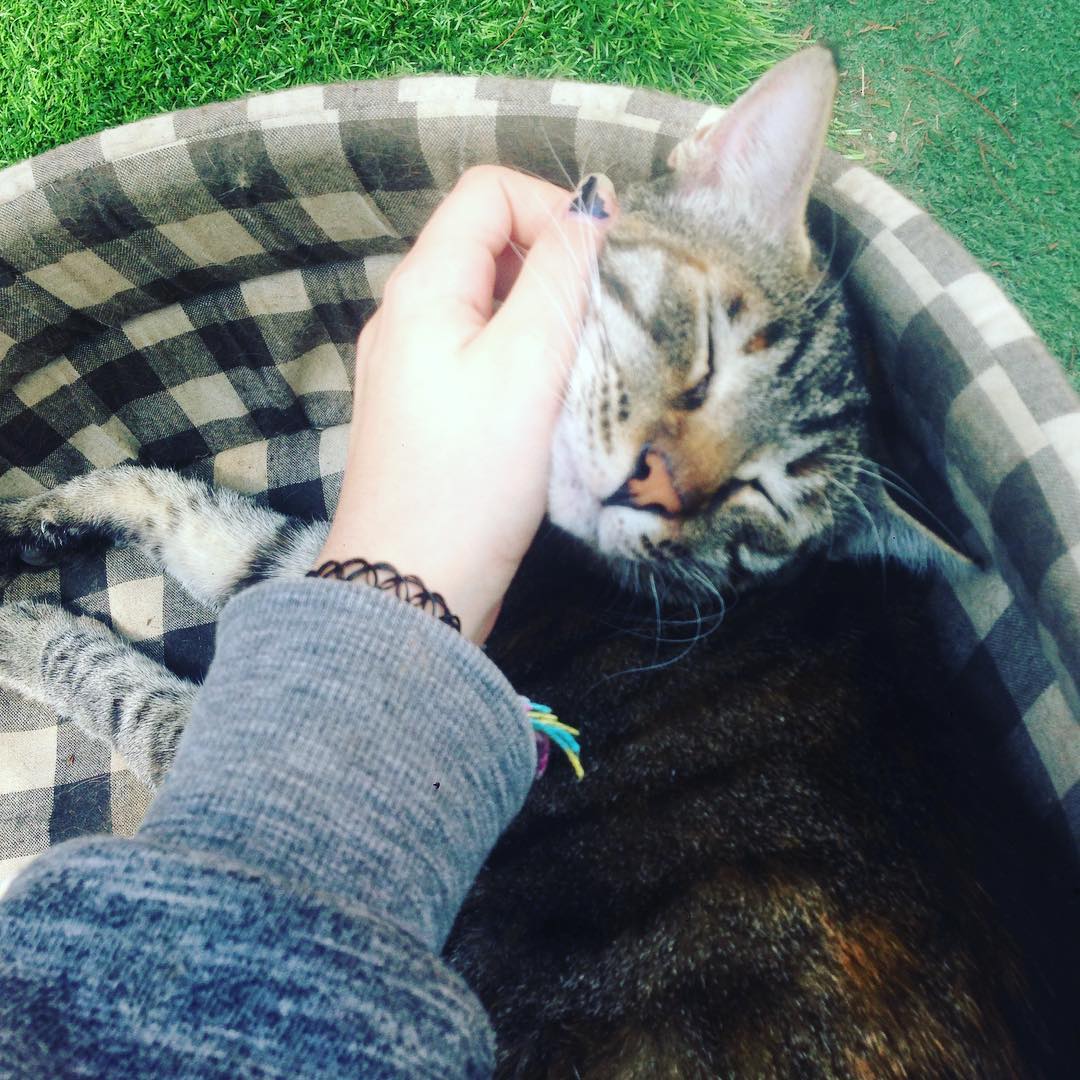 yam_adler instagram image archive image