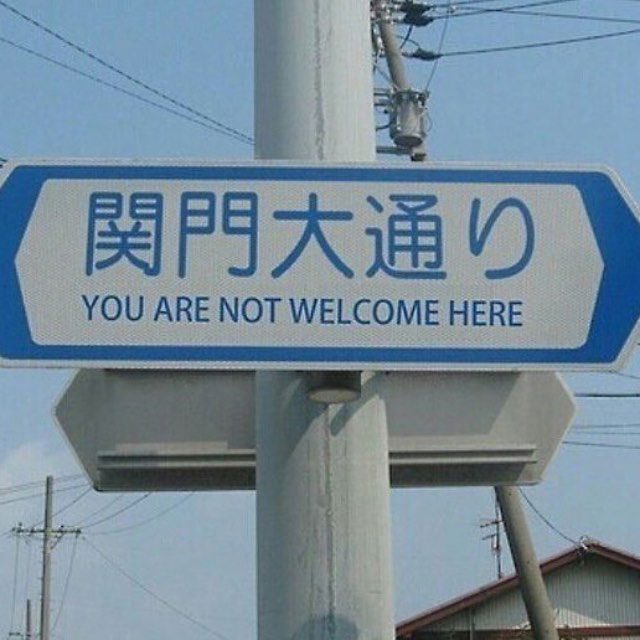 yam_adler instagram image archive image