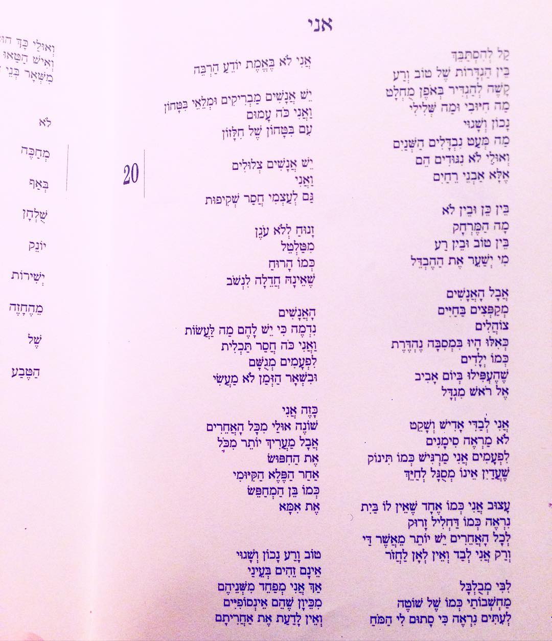 yam_adler instagram image archive image