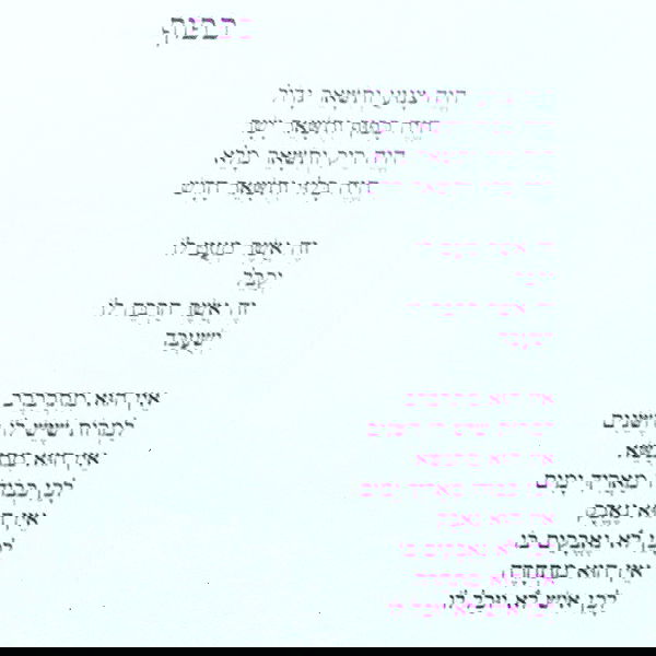 yam_adler image ~ Altpins