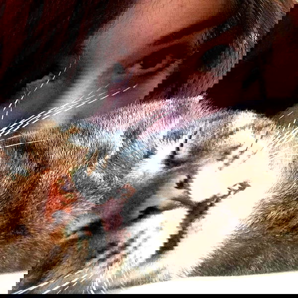 yam_adler image ~ Altpins