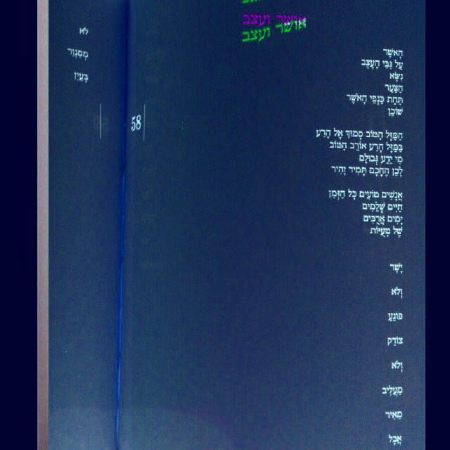 yam_adler instagram image archive image