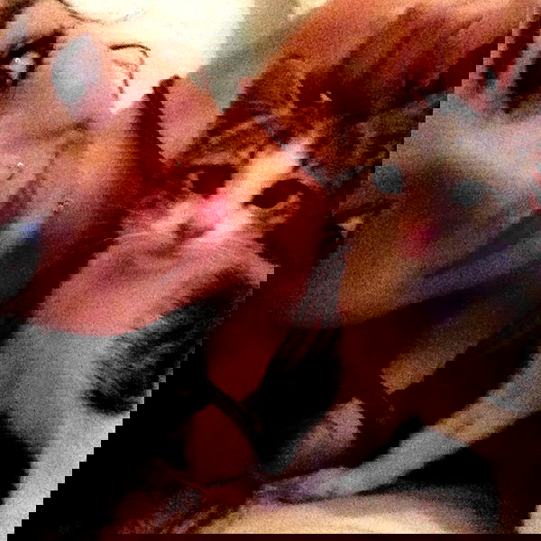 yam_adler image ~ Altpins