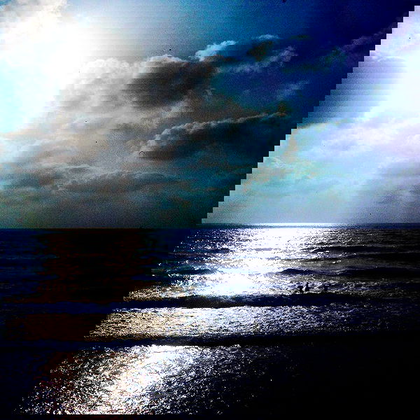 yam_adler image ~ Altpins