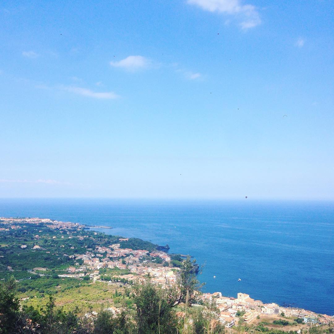 yam_adler instagram image archive image