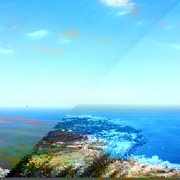 yam_adler image ~ Altpins