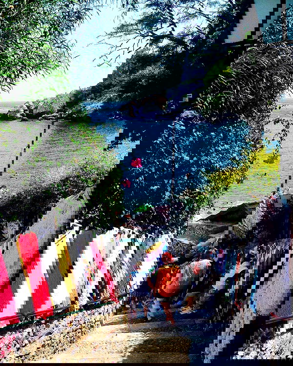 yam_adler image ~ Altpins