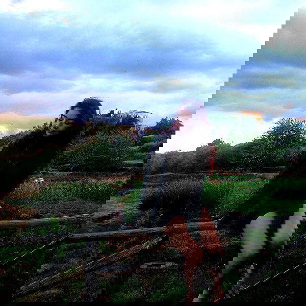 yam_adler image ~ Altpins