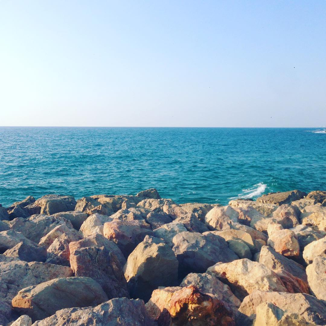 yam_adler instagram image archive image