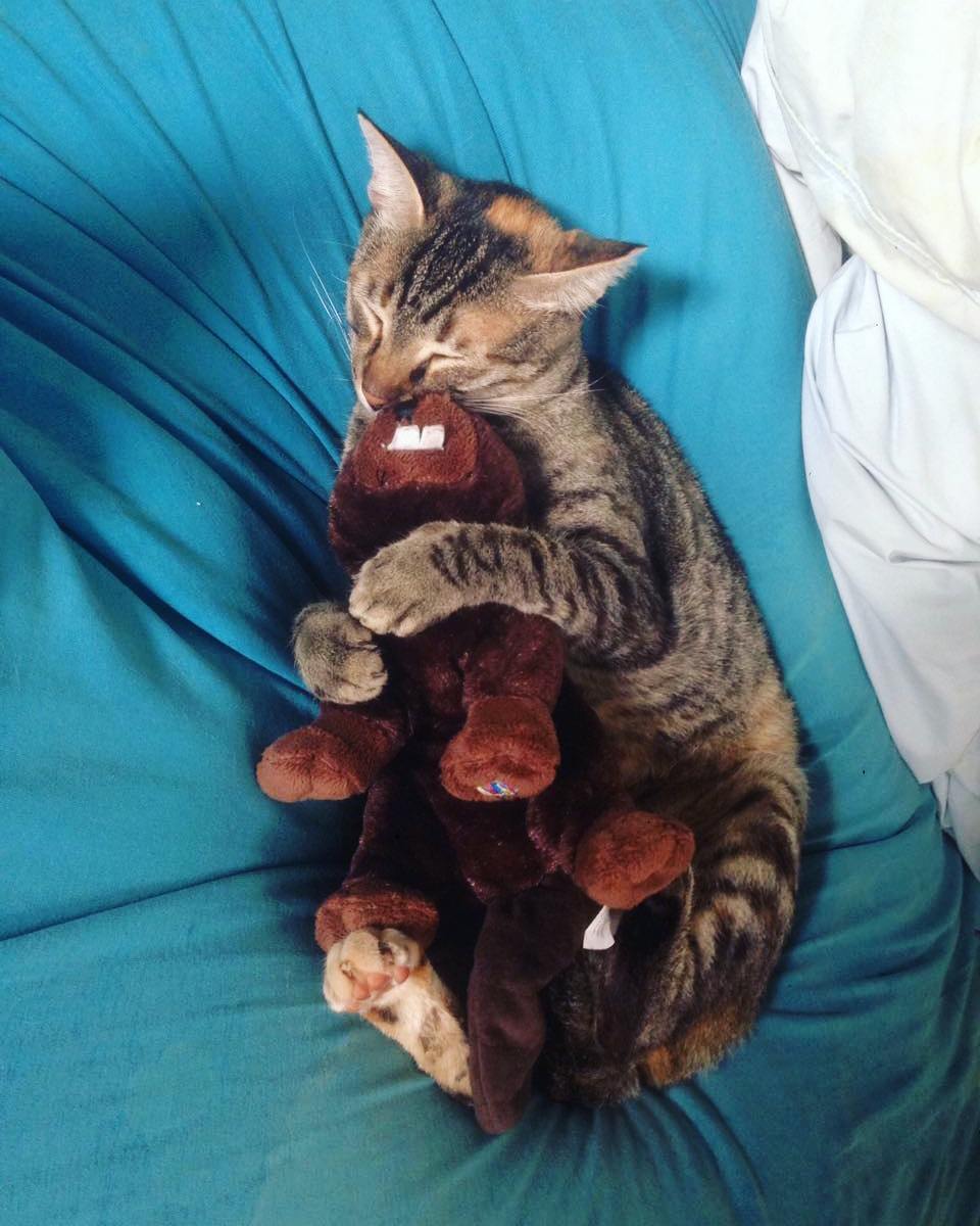 yam_adler instagram image archive image