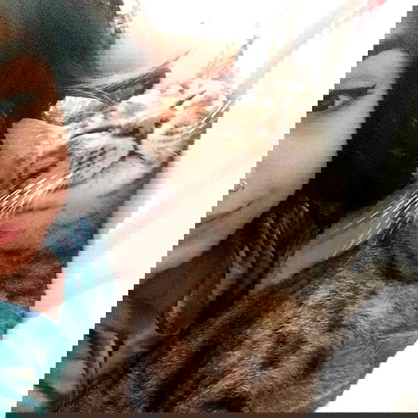 yam_adler image ~ Altpins