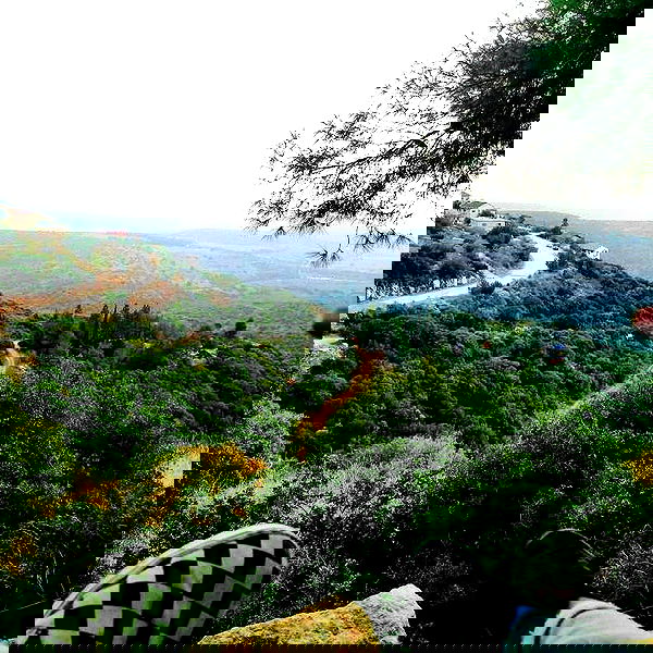 yam_adler image ~ Altpins