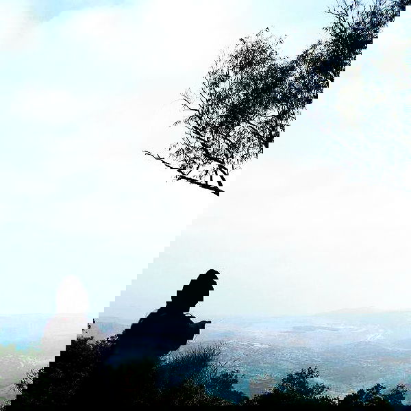 yam_adler image ~ Altpins