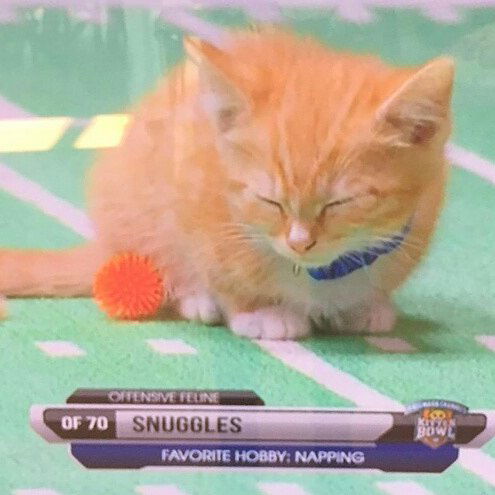 yam_adler instagram image archive image