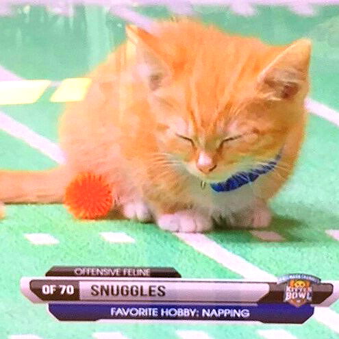 yam_adler image ~ Altpins