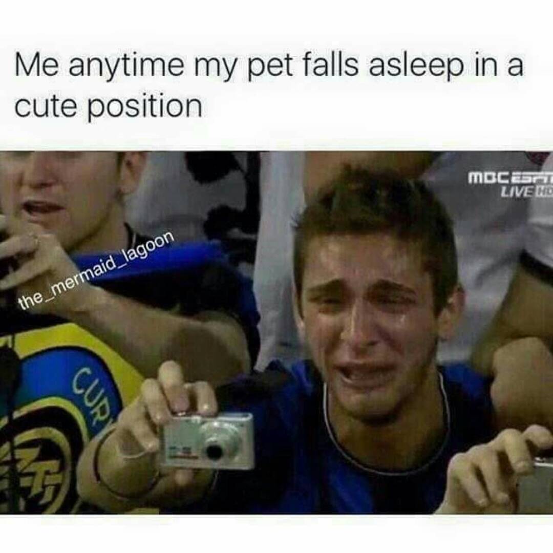 yam_adler instagram image archive image