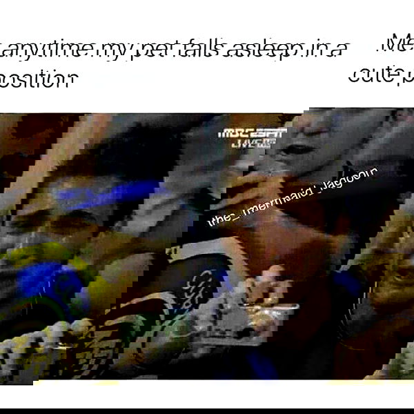 yam_adler image ~ Altpins