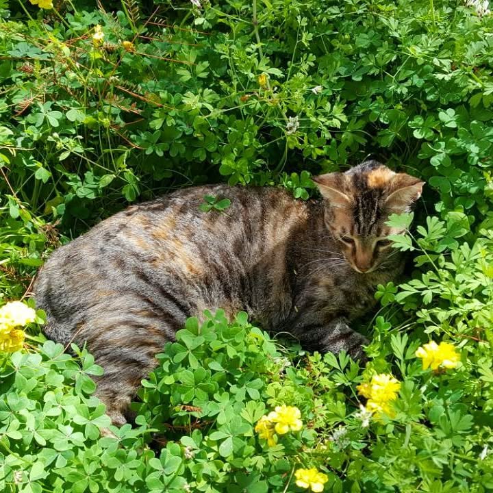 yam_adler instagram image archive image