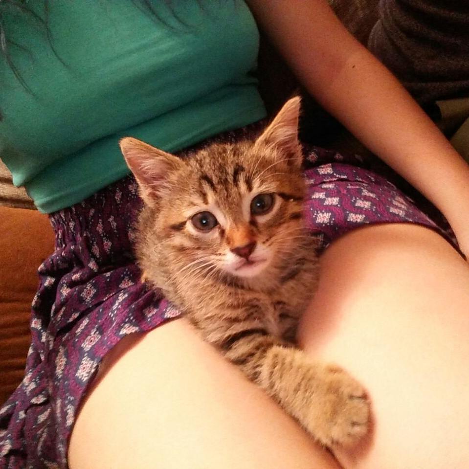 yam_adler instagram image archive image