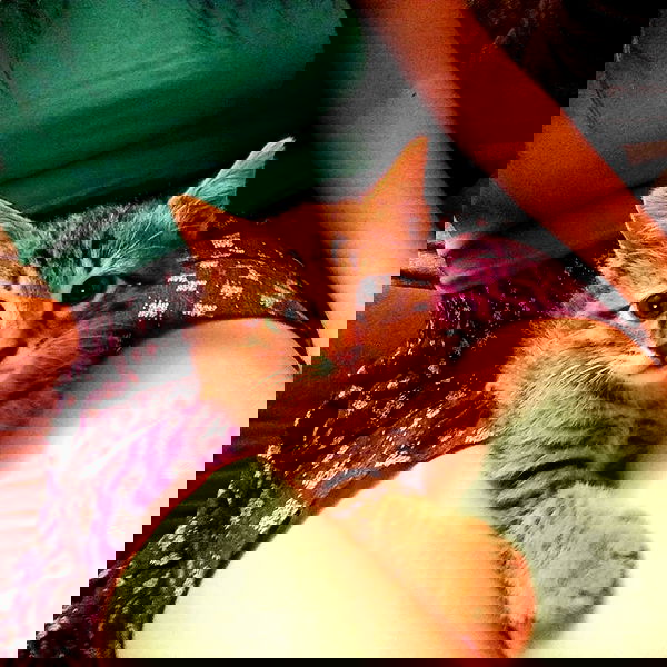 yam_adler image ~ Altpins