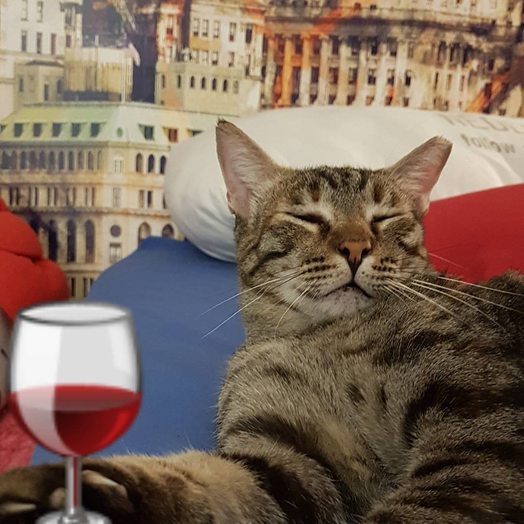 yam_adler instagram image archive image