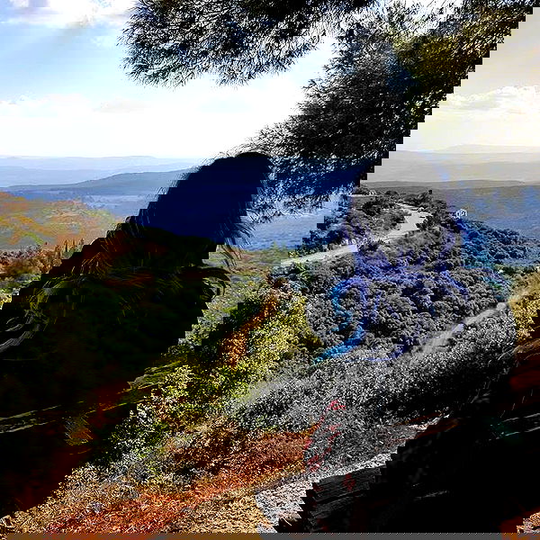 yam_adler image ~ Altpins