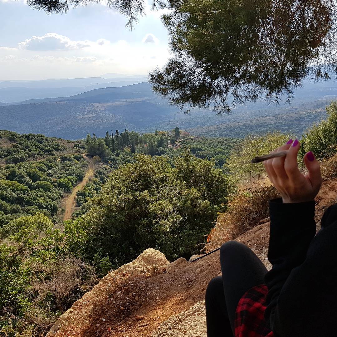 yam_adler instagram image archive image