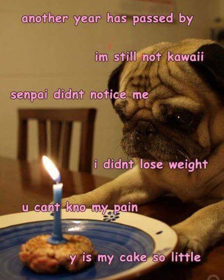 yam_adler instagram image archive image