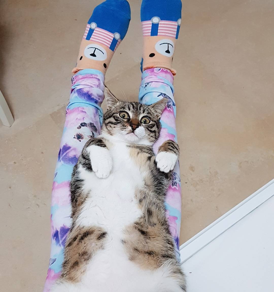 yam_adler instagram image archive image