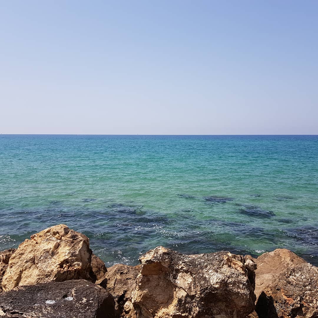 yam_adler instagram image archive image