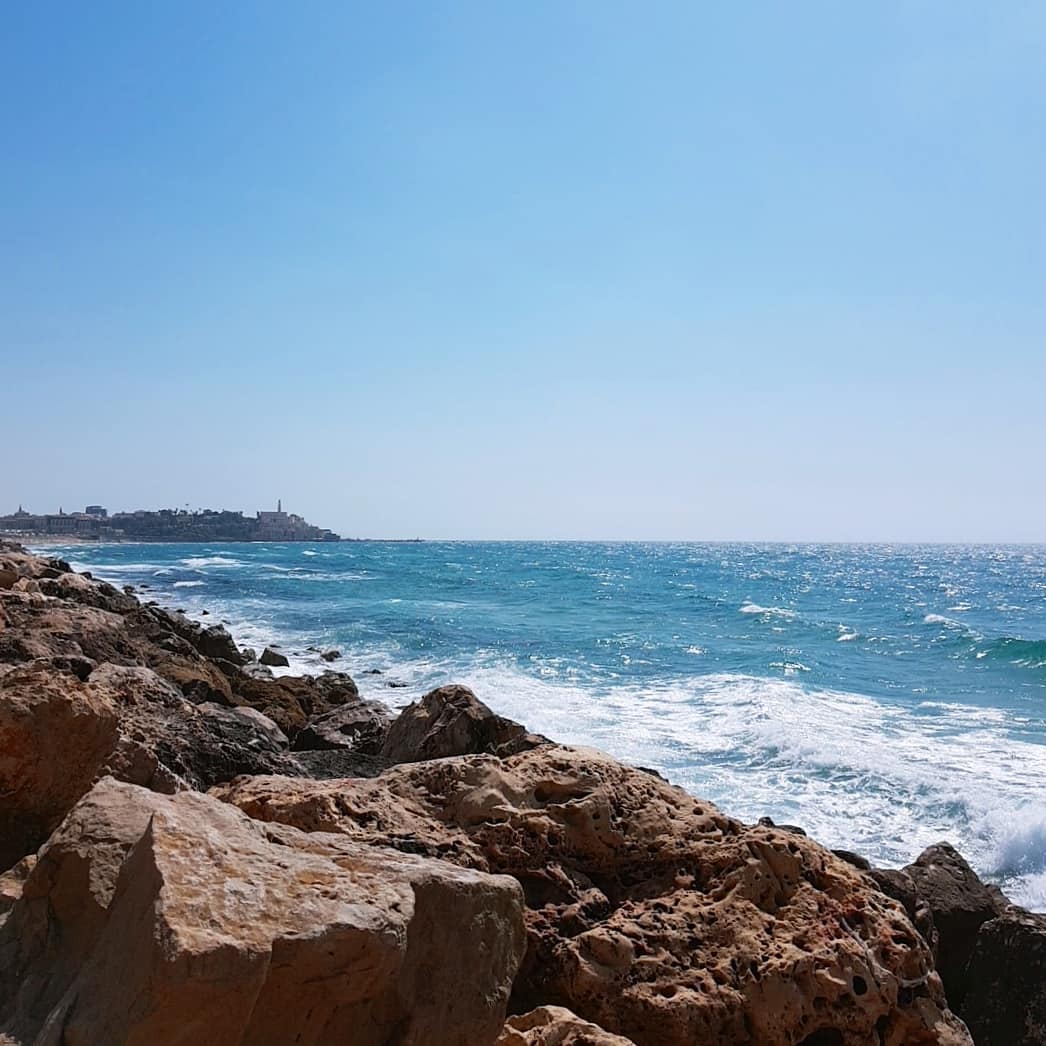 yam_adler instagram image archive image