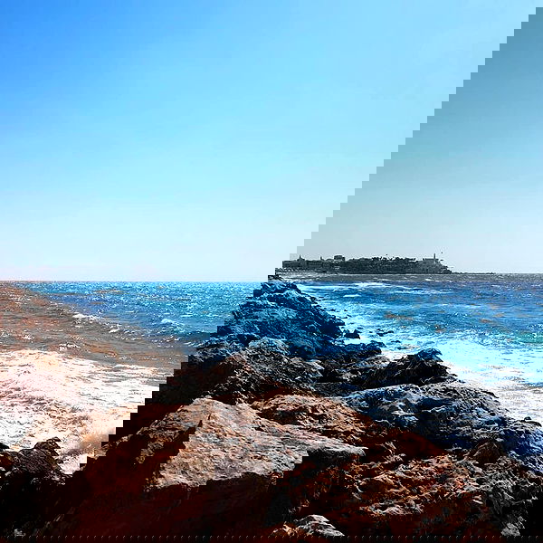 yam_adler image ~ Altpins