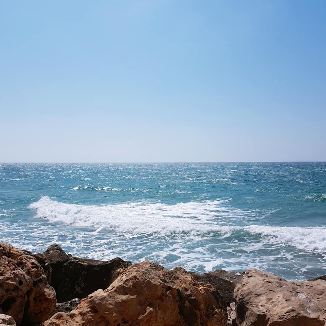 yam_adler instagram image archive image