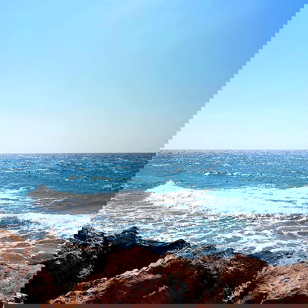 yam_adler image ~ Altpins