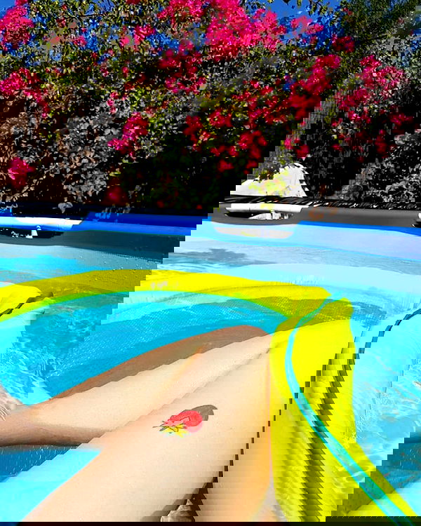 yam_adler image ~ Altpins